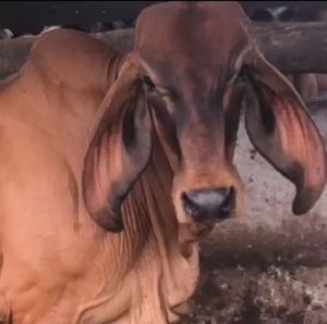 Meet your Posher, Ruben